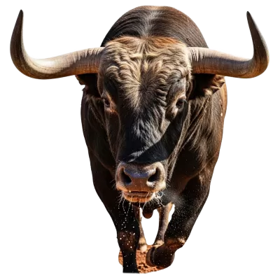 Imagen PNG para descargar